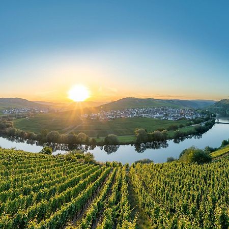 Holiday Home In The Eifel-Mosel With Garden Roes Exteriör bild